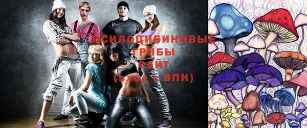 кокс Арсеньев