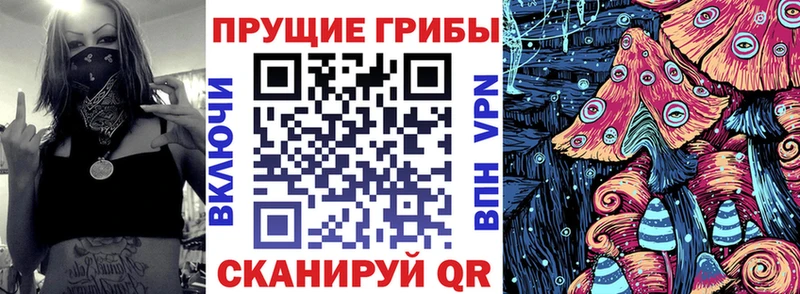 Галлюциногенные грибы Magic Shrooms  Белокуриха 